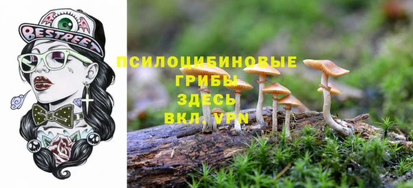 прущая мука Балахна